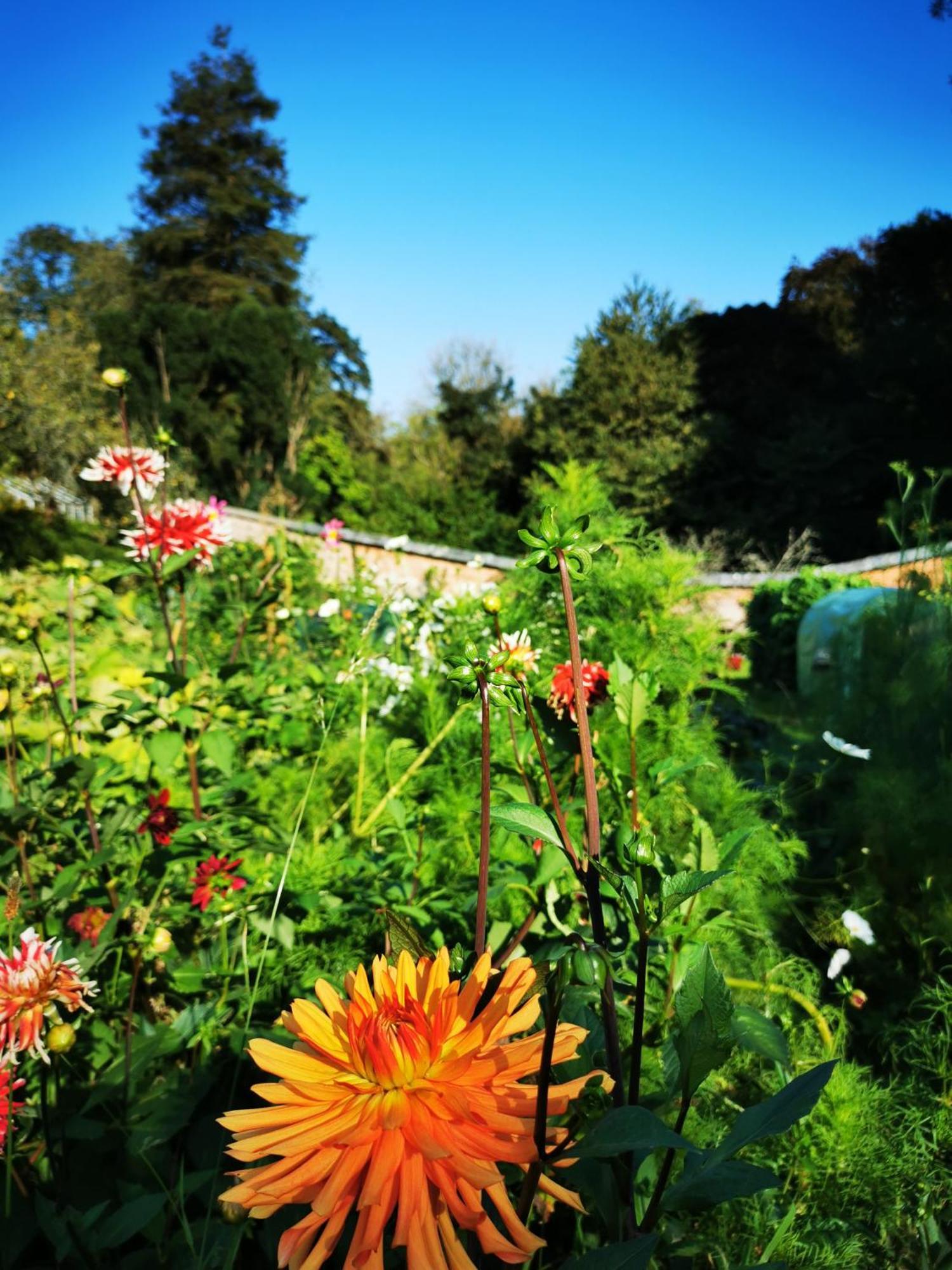 Ashley Court Guest House Tiverton  Bagian luar foto